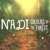 Colours of the Forest