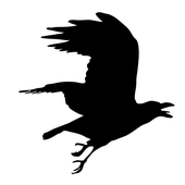 Avatar for SLHproductions