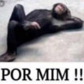 Avatar di teixeirajoaao