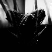 IMG_3572.jpeg
