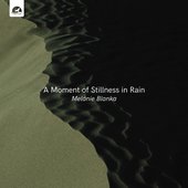 A Moment of Stillness in Rain