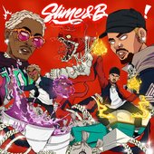 Chris Brown & Young Thug - Slime & B