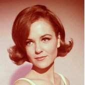 Shelley Fabares_6.JPG