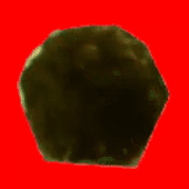 MyVideo24-ezgif.com-video-to-gif-converter.gif