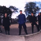 Doug Scharin and Co.