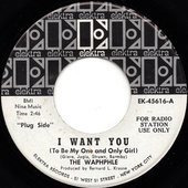 I Want You / Goin' Down