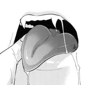Avatar di SugarFuneral