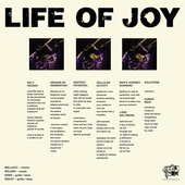 SOLUTIONS - Life Of Joy 12- (LUNGS-030) - (LUNGS-030) SolutionsBack itunes.jpg