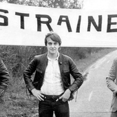 Distrainers UK.png