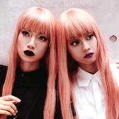 FEMM NYLON.png