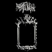 mirror + logo