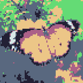 Wiffs 的头像