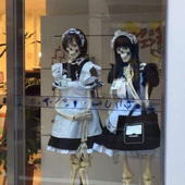 taryinm 的头像