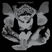 Driving At Night