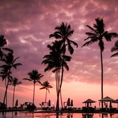Tropical