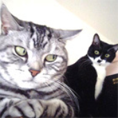 Avatar for FlowNeppets