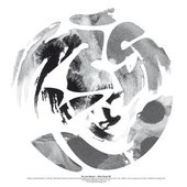 Solid Roots EP