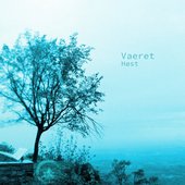 Vaeret.jpg