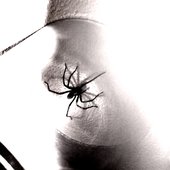 The Spider Jar