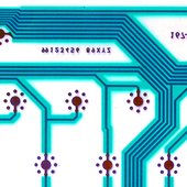 radiant bergamot feathers