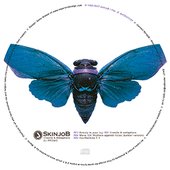 Insects & Metaphors DJ Promo