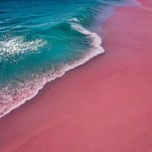 PiNK RiPPLE