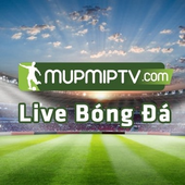 Avatar for mupmiptv