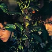 Tears For Fears