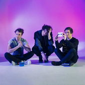 the wombats