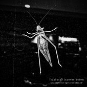Clandestine Operator Abroad