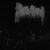 monochrome