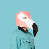Jim_bu 的头像