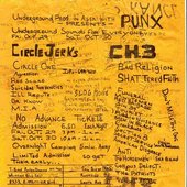 ANTI FLYER - South Bay Punk Scene late 70's early 80's 