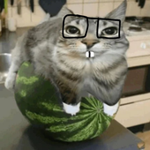 baltootario 的头像