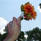 pull flower SoundCloud Profile Picture 2