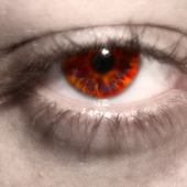 Avatar for evolantra