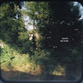 sal-limão