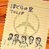 tolip3.jpg