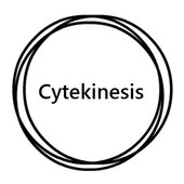 cyte.jpg