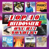 TOP 40 HITDOSSIER - One Hit Wonders (Eendagsvliegen Top 100)