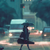 Avatar for AnimoRi