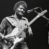 Albert Collins_6.jpg