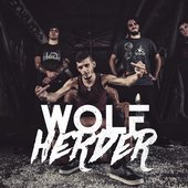 Wolf Herder