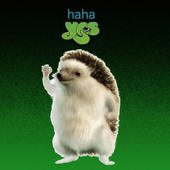 Avatar for WEGM