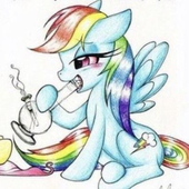 mlpfan420_ 的头像