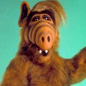 Alf 14