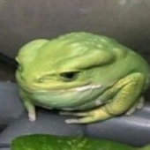 lstlimbo 的头像