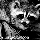 AllergicRacoon