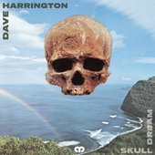 Skull Dream