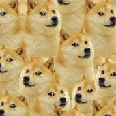 holy69doge 的头像